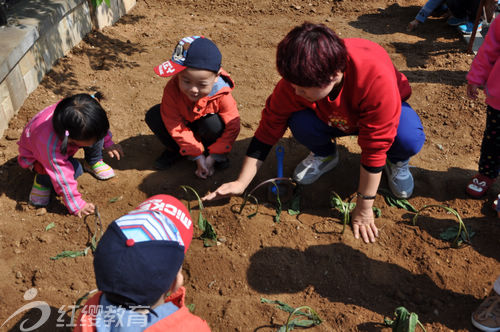 北京紅纓直營(yíng)煙臺(tái)紅纓幼兒園