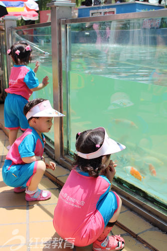 遼寧沈陽(yáng)北京紅纓連鎖幼兒園馨太陽(yáng)幼兒園