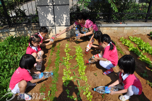 北京紅纓直營幼兒園山東煙臺(tái)紅纓幼兒園